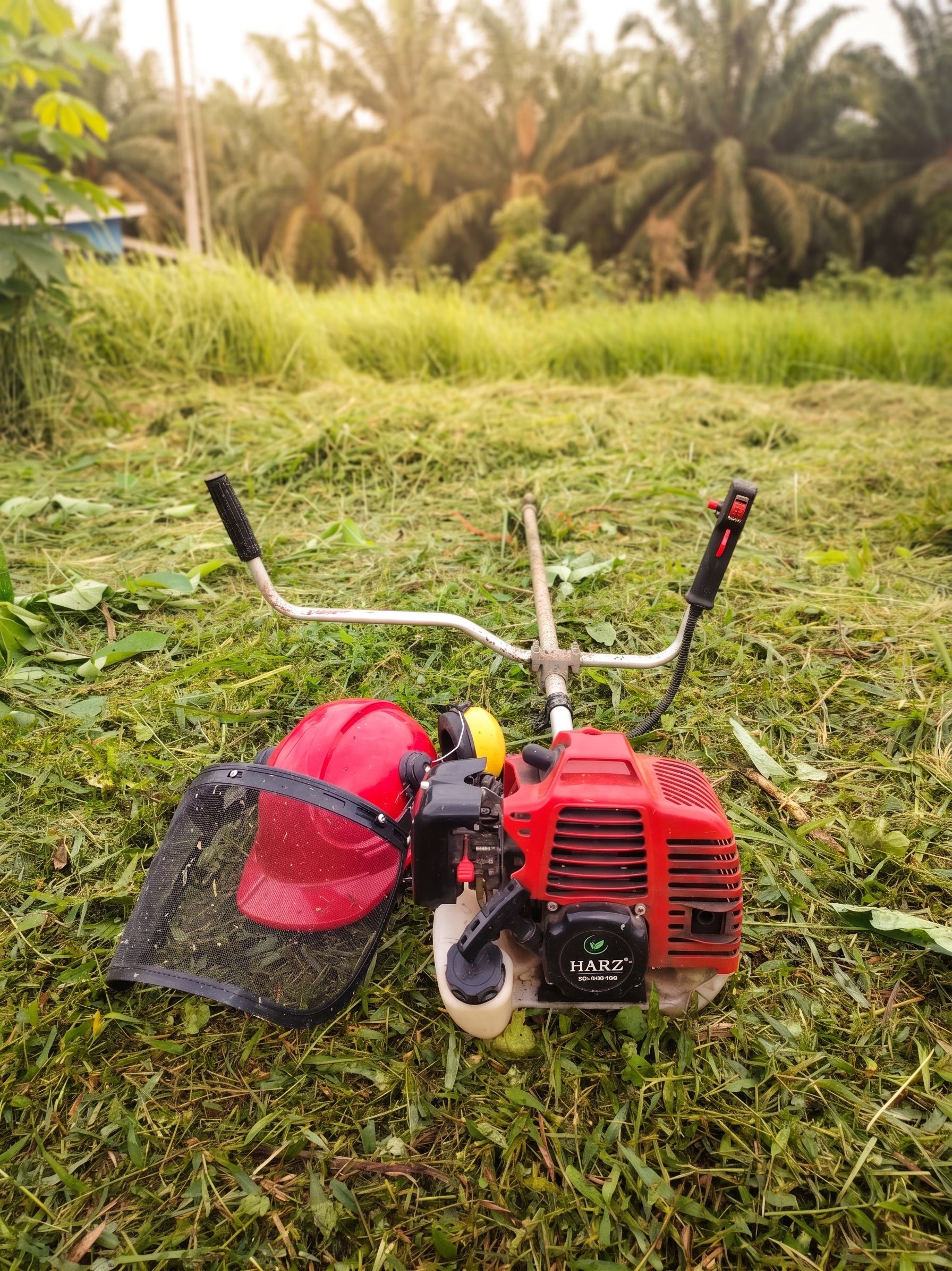 Lawn mower repair and servicing Pretoria